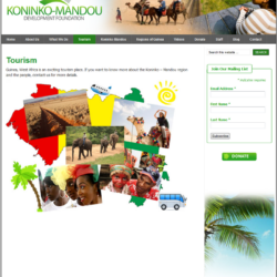 Non-Profit Web Design: Koninko-Mandou