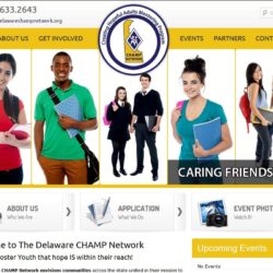 Non-Profit Web Design: Delaware Champ Network