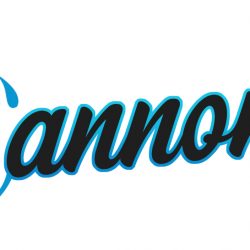 Logo Design: Cannonball